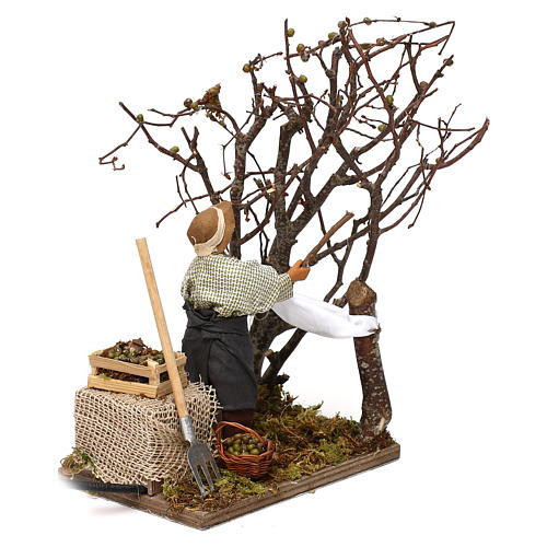 Moving man collecting olives for Neapolitan Nativity Scene 12 cm 2