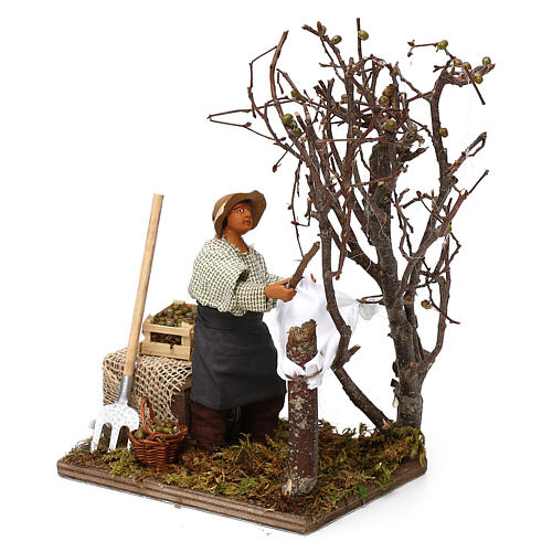 Moving man collecting olives for Neapolitan Nativity Scene 12 cm 3