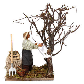 Uomo che raccoglie olive in movimento per presepe napoletano di 12 cm