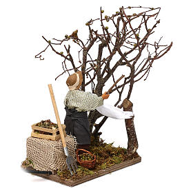 Uomo che raccoglie olive in movimento per presepe napoletano di 12 cm