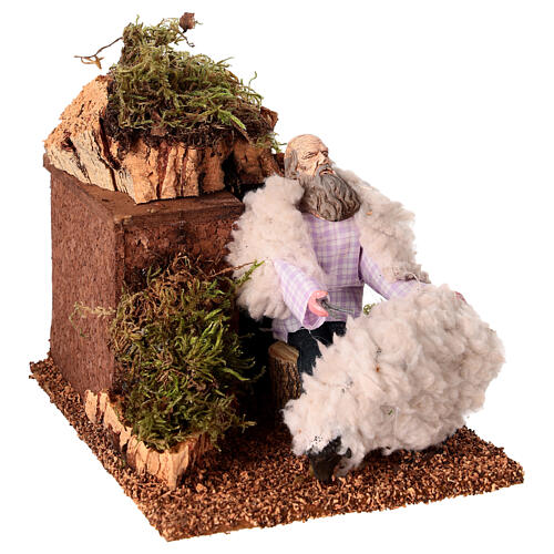 Tosa pecore in movimento di 10x15x10 cm presepe 12 cm 3