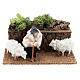 Shepherd with sheep in motion, 10 cm nativity s1