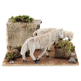 Moving grazing sheep for Neapolitan Nativity scene of 6 cm
