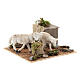 Sheep grazing, animated 6 cm Neapolitan nativity s2