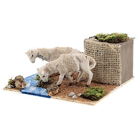 Sheep drinking from stream animated Neapolitan nativity 6 cm