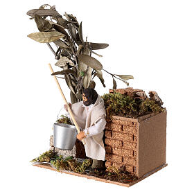 Hombre que recolecta aceitunas 10 cm belén movimiento 19x14x9 cm
