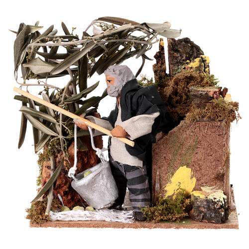 Mężczyzna zbierający oliwki, ruchoma figurka do szopki 10 cm, wym. 19X14X9 cm 1