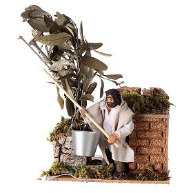Olive collector 10 cm, animated nativity 19X14X9 cm