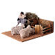 Man in the sheepfold, animated Nativity Scene with 12 cm characters s3