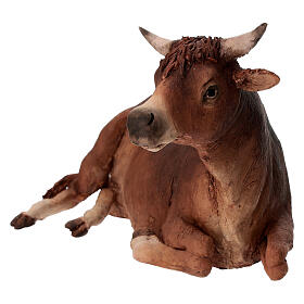 Ochse, für 30 cm Krippe von Angela Tripi, Terrakotta