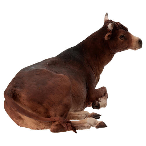 Buey terracota 30cm, Angela Tripi 3