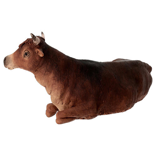 Boi 30 cm Angela Tripi terracota 4