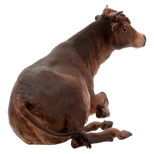 Ox, 30cm in terracotta by Angela Tripi 3