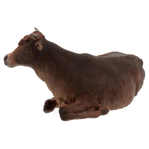 Ox, 30cm in terracotta by Angela Tripi 4