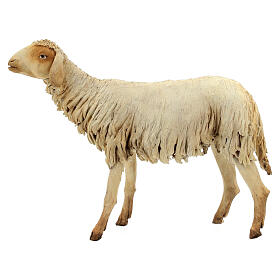 Schaf, für 30 cm Krippe von Angela Tripi, Terrakotta