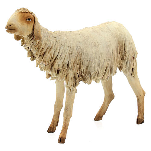 Schaf, für 30 cm Krippe von Angela Tripi, Terrakotta 2