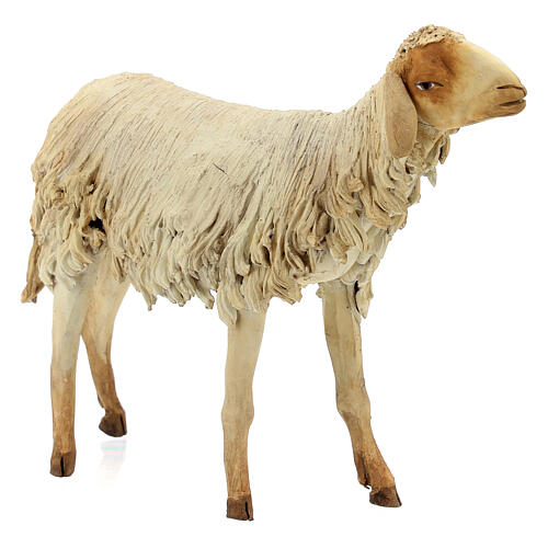 Schaf, für 30 cm Krippe von Angela Tripi, Terrakotta 3