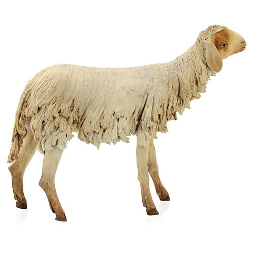 Schaf, für 30 cm Krippe von Angela Tripi, Terrakotta 4