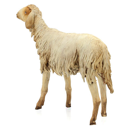Schaf, für 30 cm Krippe von Angela Tripi, Terrakotta 5