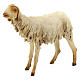 Schaf, für 30 cm Krippe von Angela Tripi, Terrakotta s2