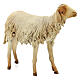 Schaf, für 30 cm Krippe von Angela Tripi, Terrakotta s3