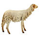 Schaf, für 30 cm Krippe von Angela Tripi, Terrakotta s4
