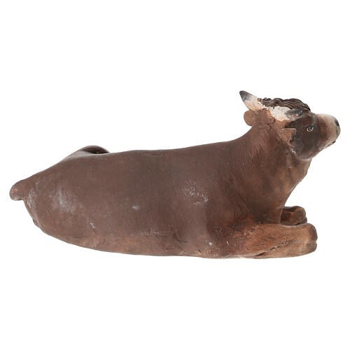 Bue 13 cm Angela Tripi terracotta 4