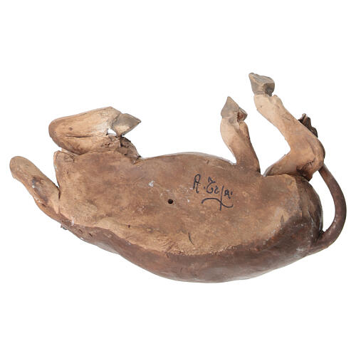 Bue 13 cm Angela Tripi terracotta 5