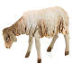 Owca stojąca 18 cm Angela Tripi terakota s3