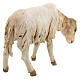 Owca stojąca 18 cm Angela Tripi terakota s4