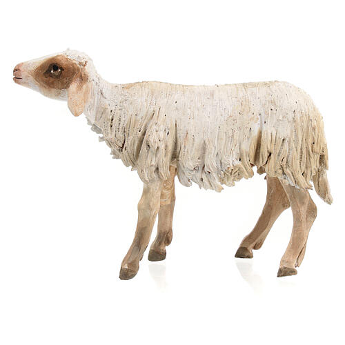 Schaf stehend, für 18 cm Krippe von Angela Tripi, Terrakotta 4