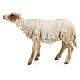 Schaf stehend, für 18 cm Krippe von Angela Tripi, Terrakotta s4