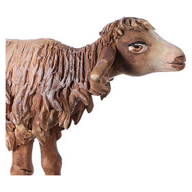 Pesebre Angela Tripi: Oveja en pie 18cm terracota Angela Tripi