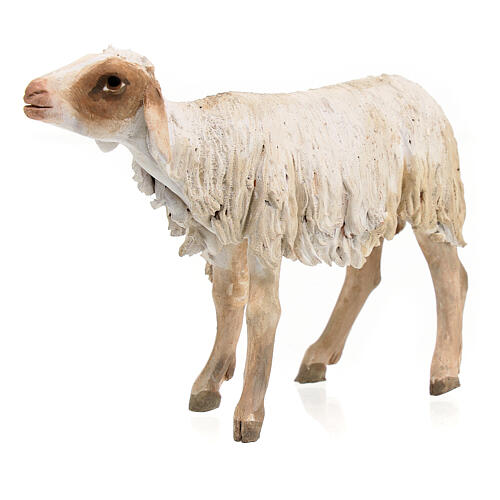 Owca stojąca 18 cm Angela Tripi terakota 3