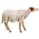 Owca stojąca 18 cm Angela Tripi terakota s1
