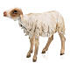 Owca stojąca 18 cm Angela Tripi terakota s3