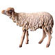 Nativity scene figurine, standing sheep 18cm, Angela Tripi s1