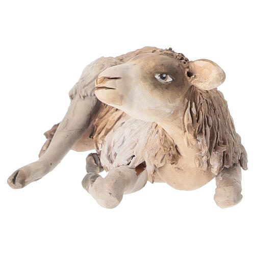 Ovelha agachada 18 cm Angela Tripi terracota 3