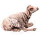 Nativity scene figurine, lying sheep 18cm, Angela Tripi s3