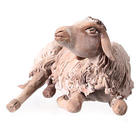 Pecora a riposo 18 cm Angela Tripi terracotta