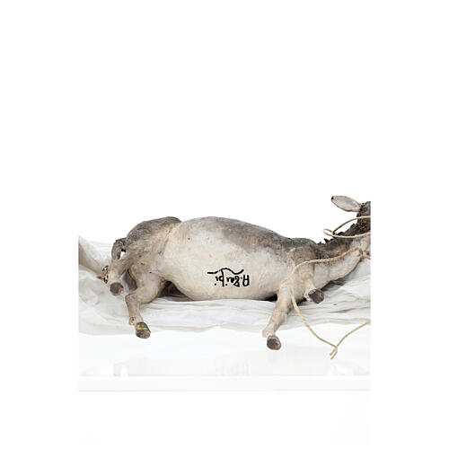 Esel, für 30 cm Krippe von Angela Tripi, Terrakotta 6