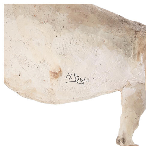 Asno en pie 30 cm Angela Tripi terracota 5