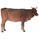 Ochse, für 30 cm Krippe von Angela Tripi, Terrakotta s5
