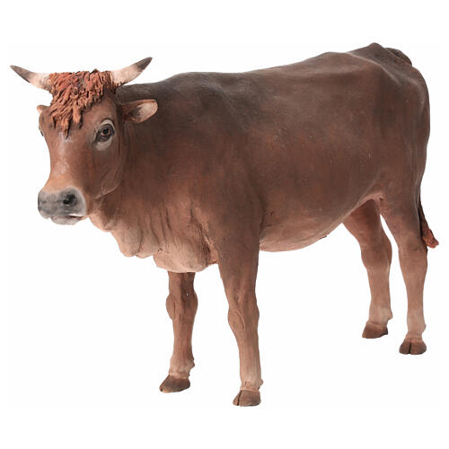 Nativity scene figurine, ox 30cm terracotta, Angela Tripi 3