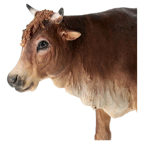 Buey en pie 30cm Angela Tripi terracota 2