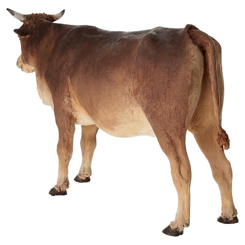 Buey en pie 30cm Angela Tripi terracota 7