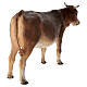 Buey en pie 30cm Angela Tripi terracota s8