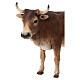 Buey en pie 30cm Angela Tripi terracota s2