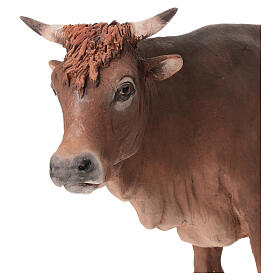 Boeuf debout crèche Angela Tripi 30 cm terre cuite