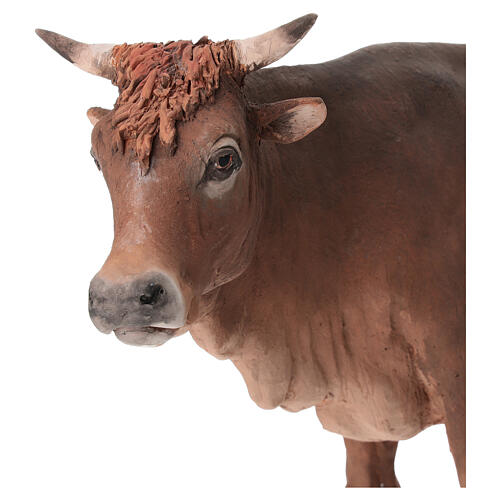 Boeuf debout crèche Angela Tripi 30 cm terre cuite 2